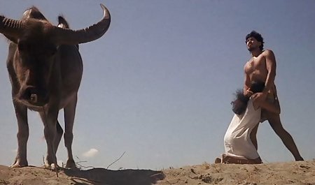 شوهر همسر بالغ را در بیدمشک در پشت و سبک سگ کوچولو در مقابل دانلود رایگان سینمایی پورن وب کم قرار می دهد